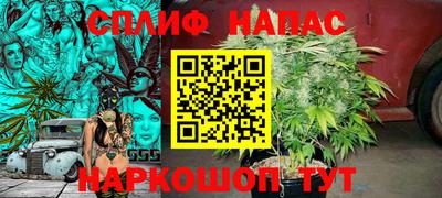 дживик Нарткала